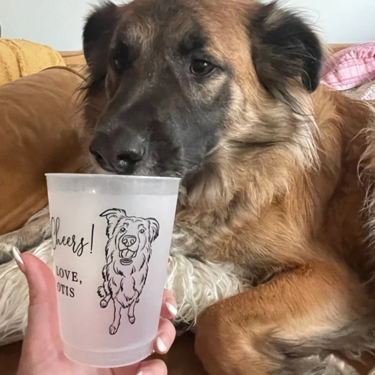 แก้วน้ำพลาสติกฝ้าลายภาพสัตว์เล - Plastic Cup 50Pcs บทวิจารณ์และราคา