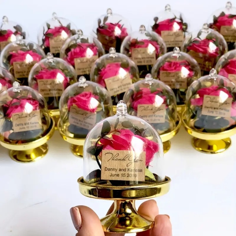 24 ชิ้นกล่องขนมพลาสติกขนาดเล็ก - Party Event Supply Store บทวิจารณ์และราคา