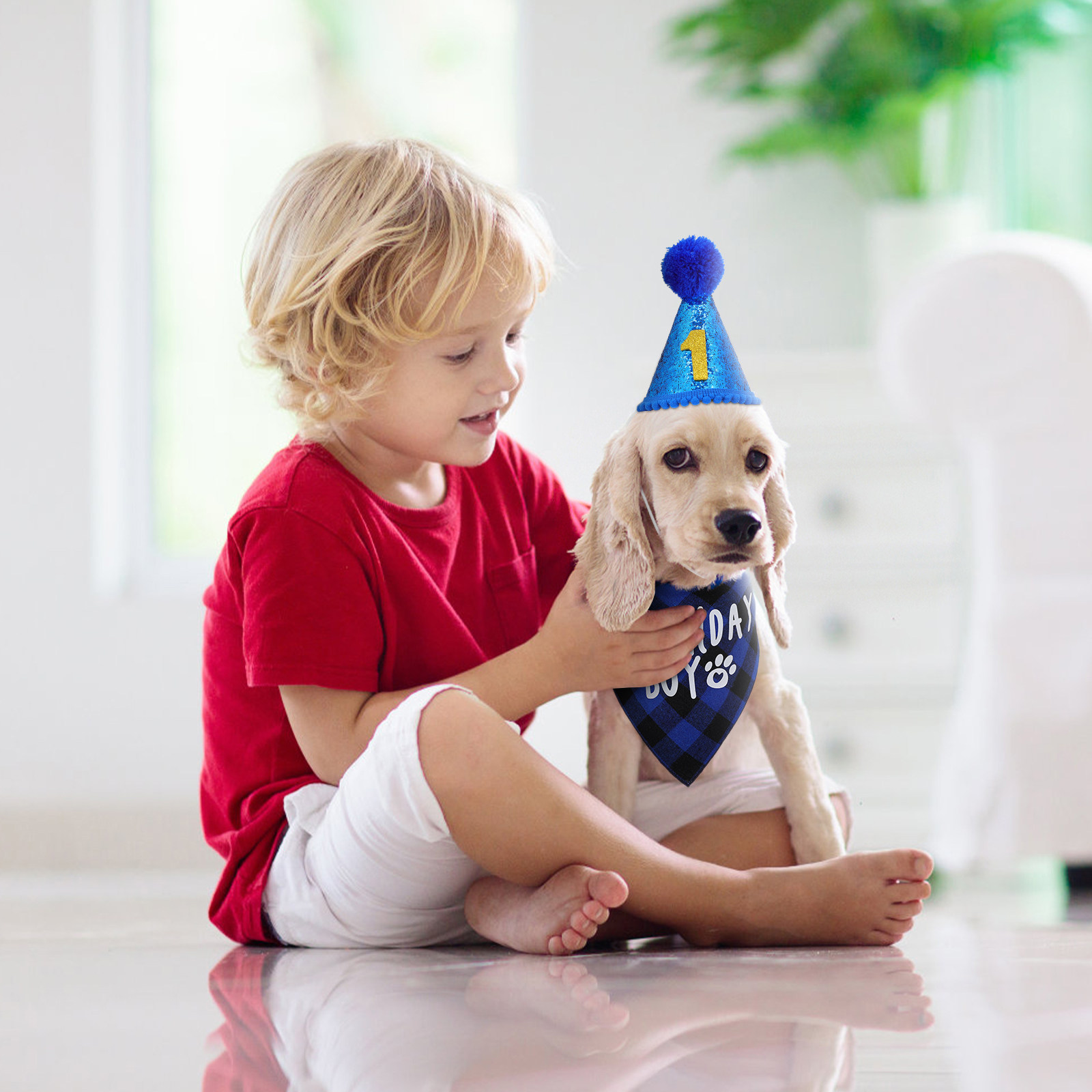 ชุดผ้าพันคอวันเกิดสำหรับสุนัข  - Party Hat Cone บทวิจารณ์และราคา